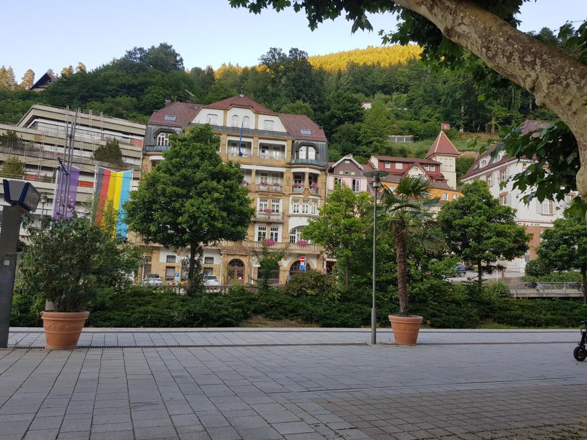 Gemuetliche Wohnung Im Zentrum Von Bad Wildbad Dış mekan fotoğraf