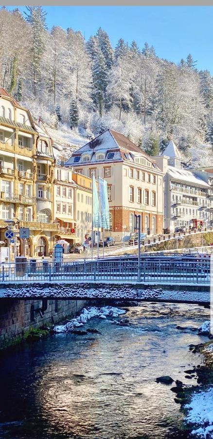 Gemuetliche Wohnung Im Zentrum Von Bad Wildbad Dış mekan fotoğraf